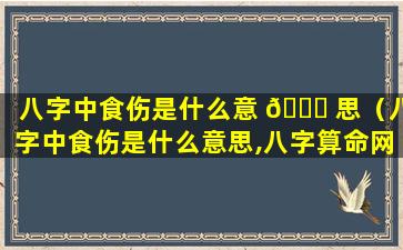 八字中食伤是什么意 🐎 思（八字中食伤是什么意思,八字算命网 🌾 ）